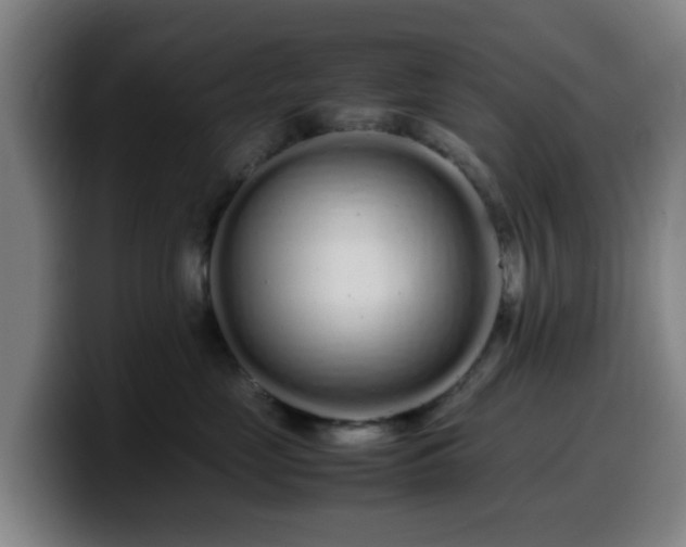 X0000099940669200805301218