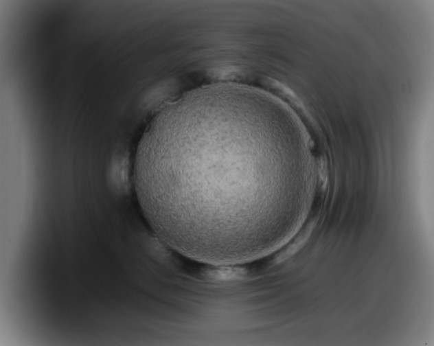 X0000099940670200805301218