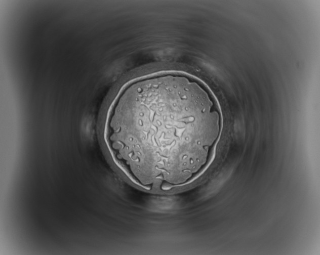 X0000099940671200805301218