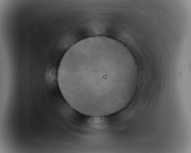 X0000099940672200805301218