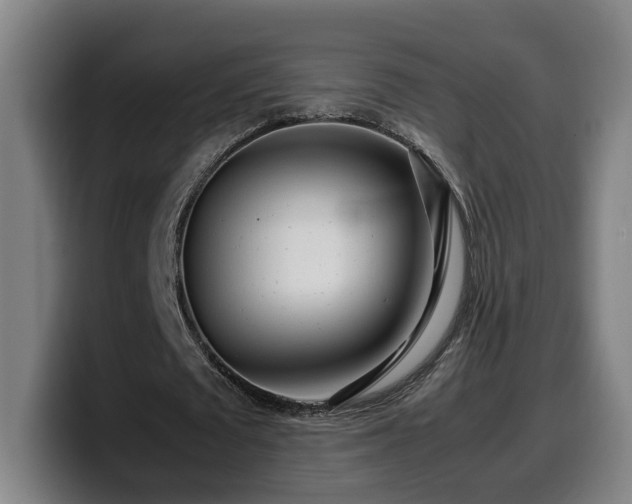X0000099940673200805301218