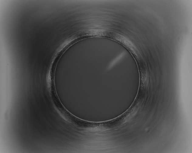 X0000099940674200805301218
