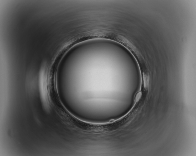 X0000099940675200805301217