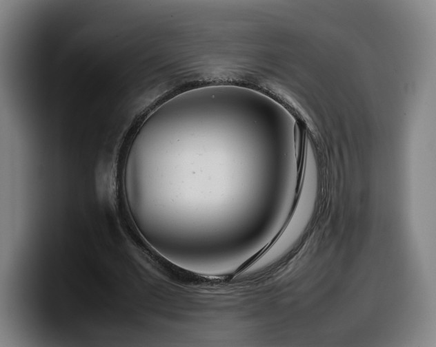 X0000099940677200805301217
