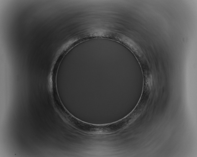 X0000099940678200805301217