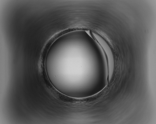 X0000099940680200805301217