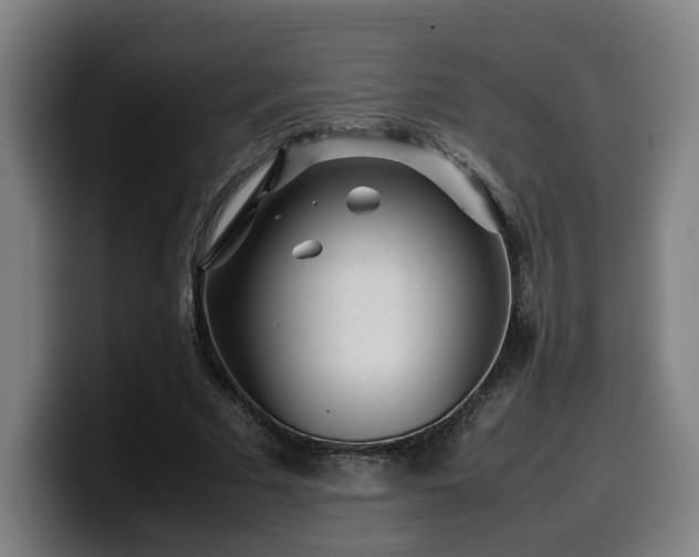 X0000099940681200805301217
