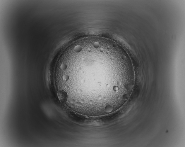 X0000099940683200805301217