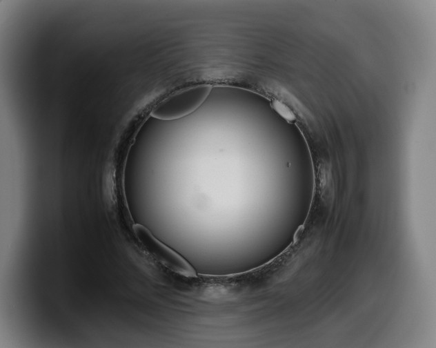 X0000099940684200805301217