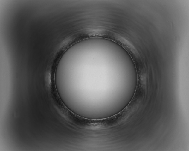 X0000099940686200805301217