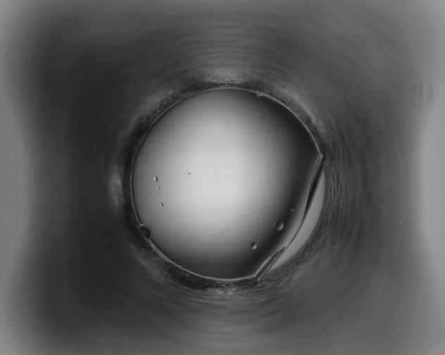 X0000099940688200805301217
