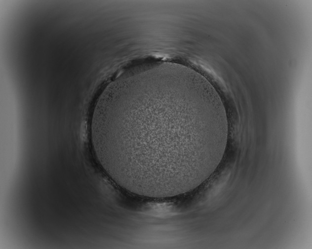 X0000099940689200805301217