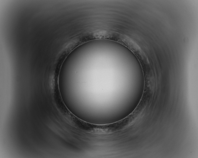 X0000099940690200805301217
