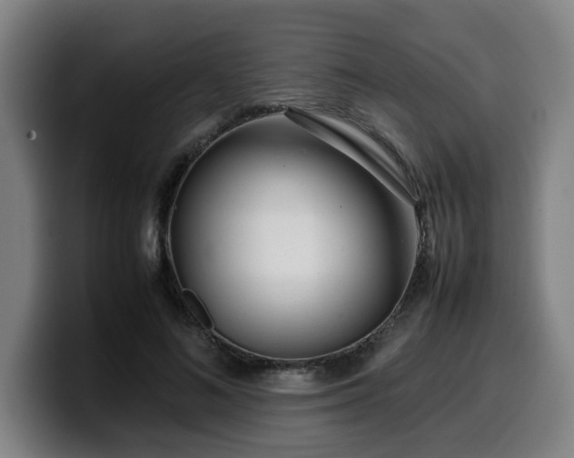X0000099940692200805301217