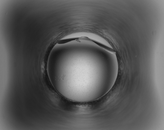 X0000099940693200805301217