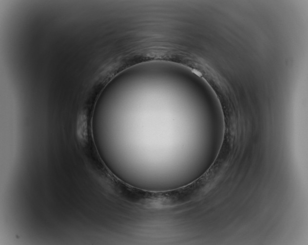X0000099940696200805301217