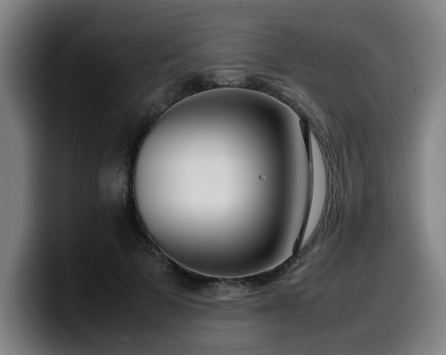 X0000099940697200805301217