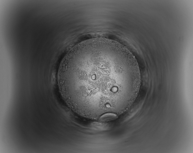 X0000099940699200805301217