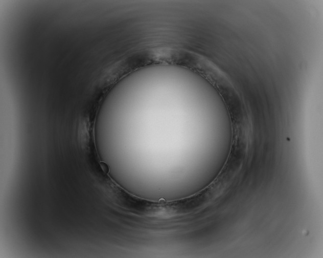 X0000099940702200805301217