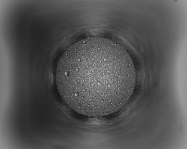 X0000099940703200805301217