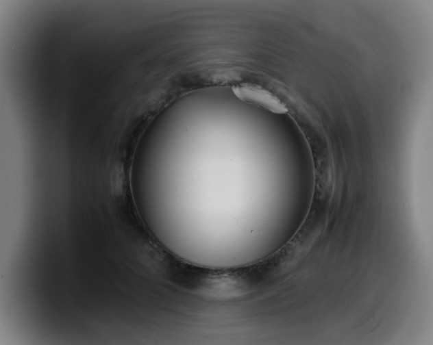 X0000099940704200805301217