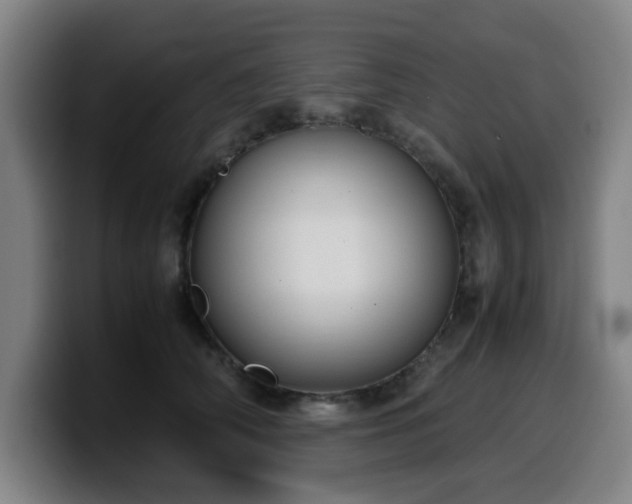 X0000099940706200805301217