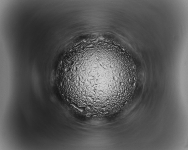X0000099940707200805301217