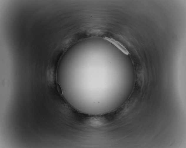 X0000099940708200805301217
