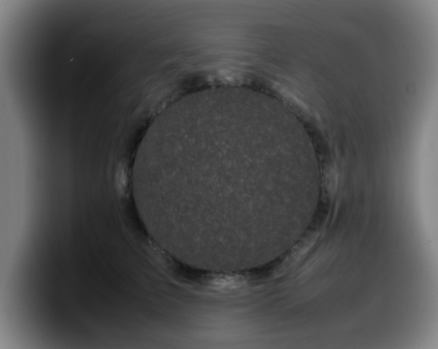 X0000099940709200805301217