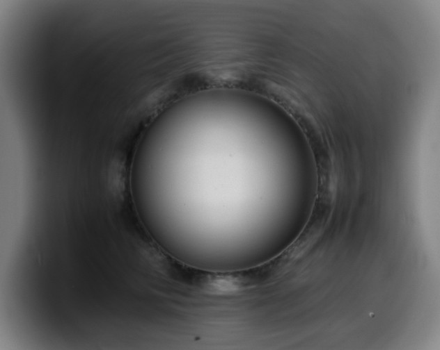 X0000099940710200805301217