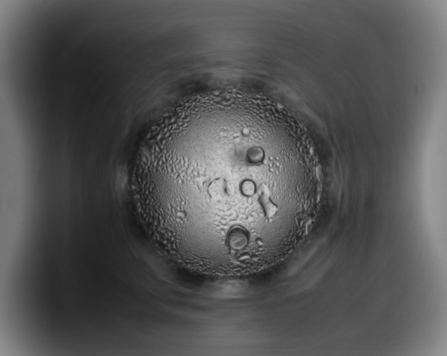 X0000099940711200805301217