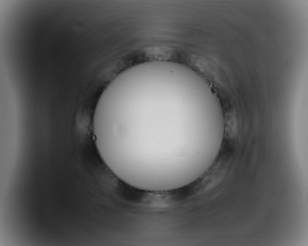 X0000099940713200805301217