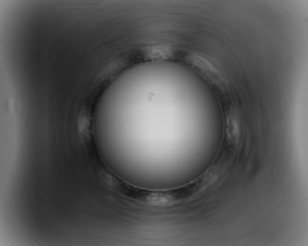 X0000099940714200805301217