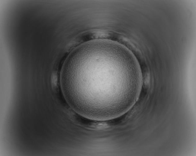 X0000099940715200805301217