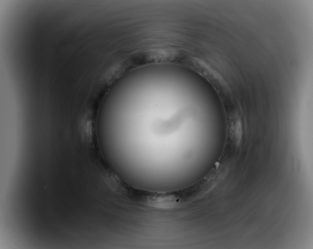 X0000099940716200805301217
