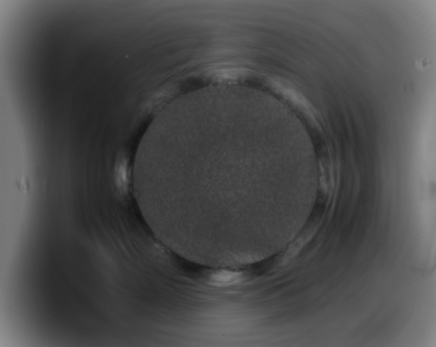 X0000099940718200805301217