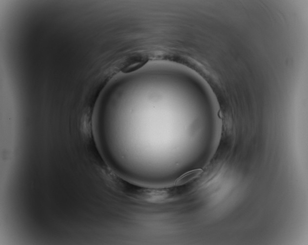 X0000099940719200805301217