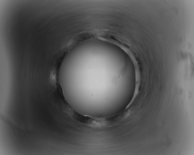 X0000099940720200805301217