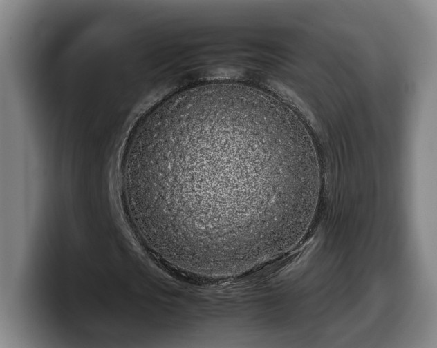 X0000099940721200805301216