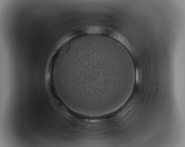 X0000099940723200805301216