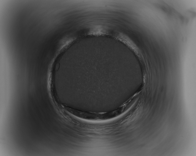 X0000099940724200805301216