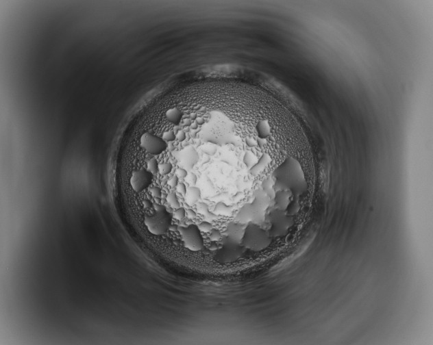 X0000099940725200805301216