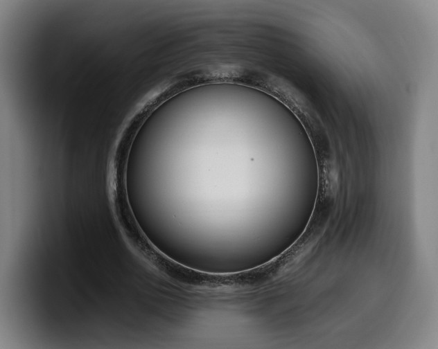 X0000099940726200805301216