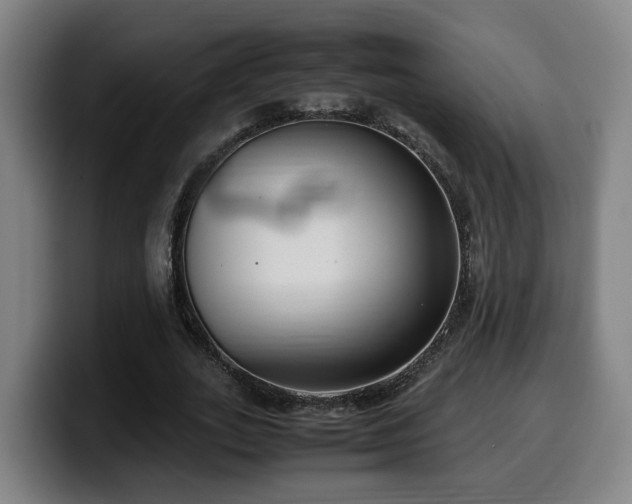 X0000099940727200805301216