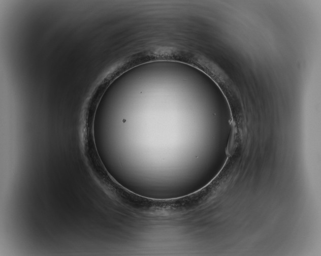 X0000099940728200805301216