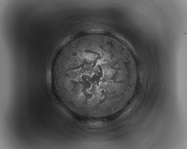 X0000099940729200805301216