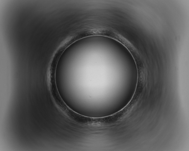 X0000099940730200805301216