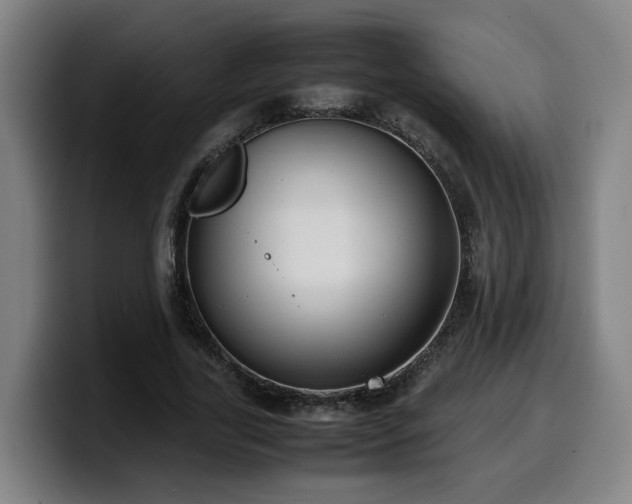 X0000099940731200805301216