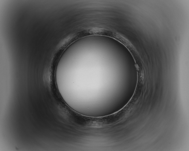 X0000099940732200805301216