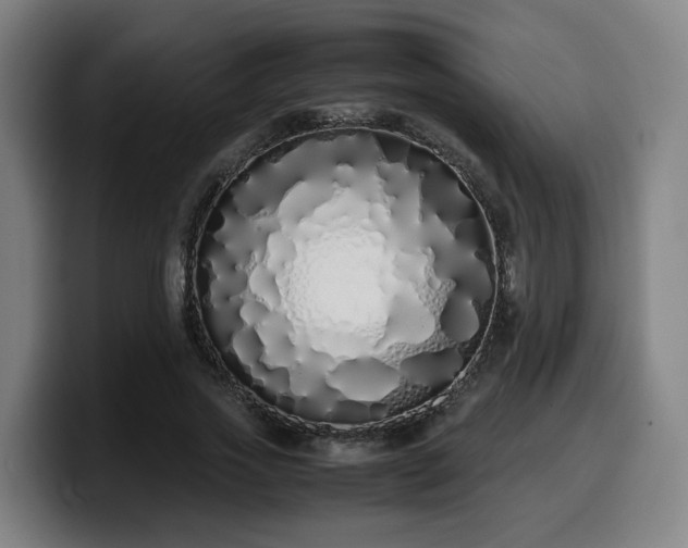 X0000099940733200805301216